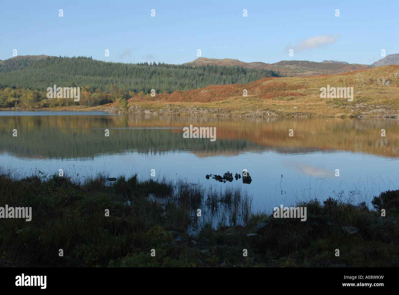 Llyn Bodgynydd Mawr Snowdonia North West Wales Foto Stock