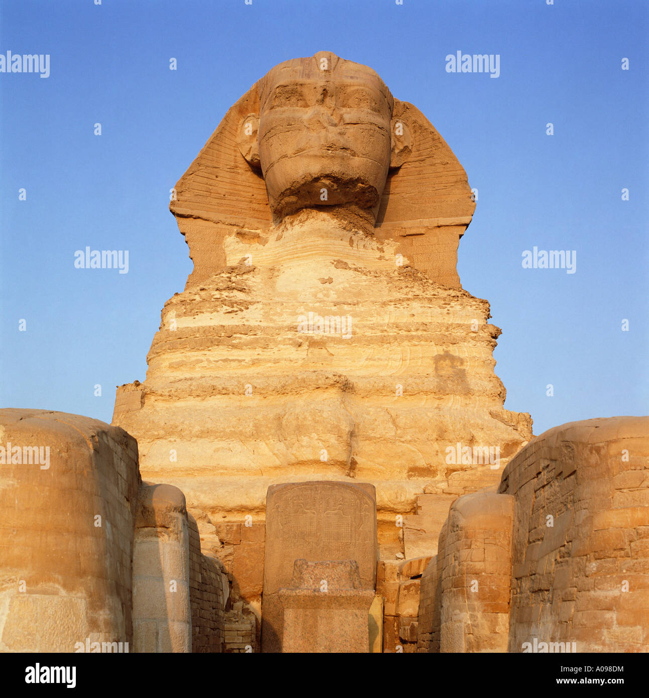 La Sfinge a sunrise, Giza, Cairo, Egitto, Nord Africa. Vista frontale Foto Stock