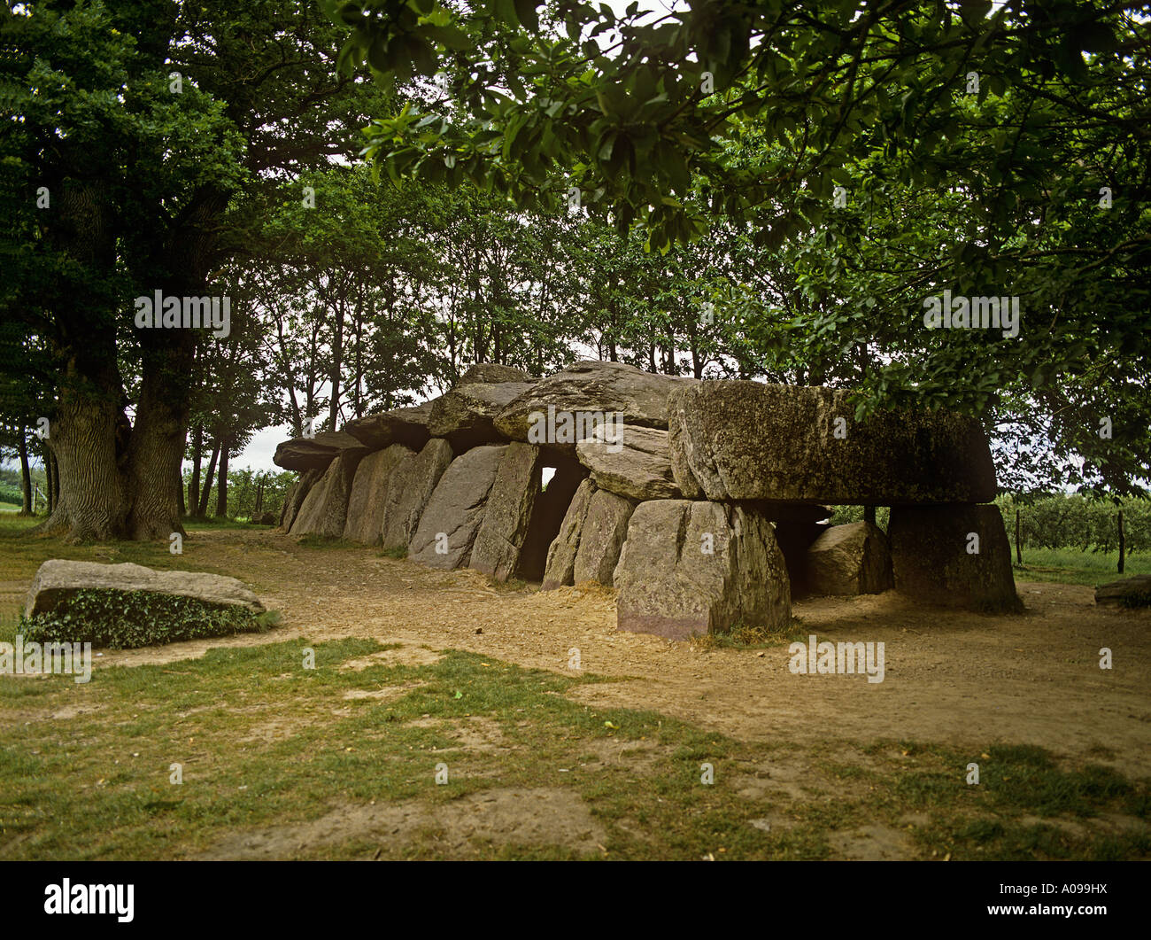 La Roche aux onorari esposti camera di sepoltura al di fuori di esse nel nord della bretagna Loira tipo Dolmen talvolta noto come fate rocce Foto Stock