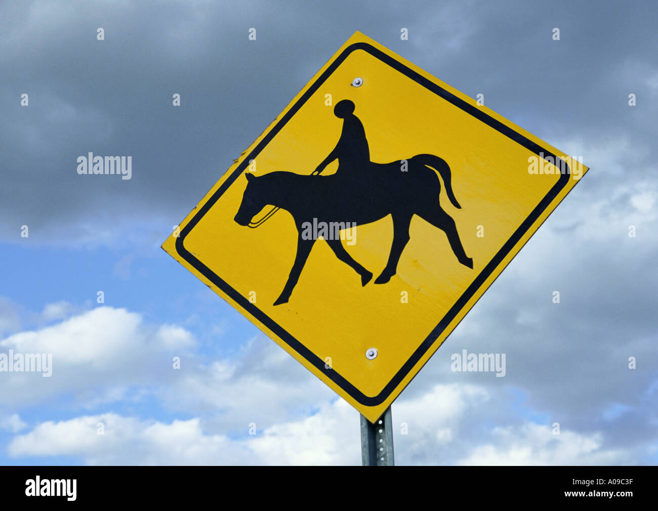 Un nero e giallo a forma di rombo di attraversamento di cavallo cartello stradale su un montante metallico contro uno sfondo con cielo nuvoloso Foto Stock