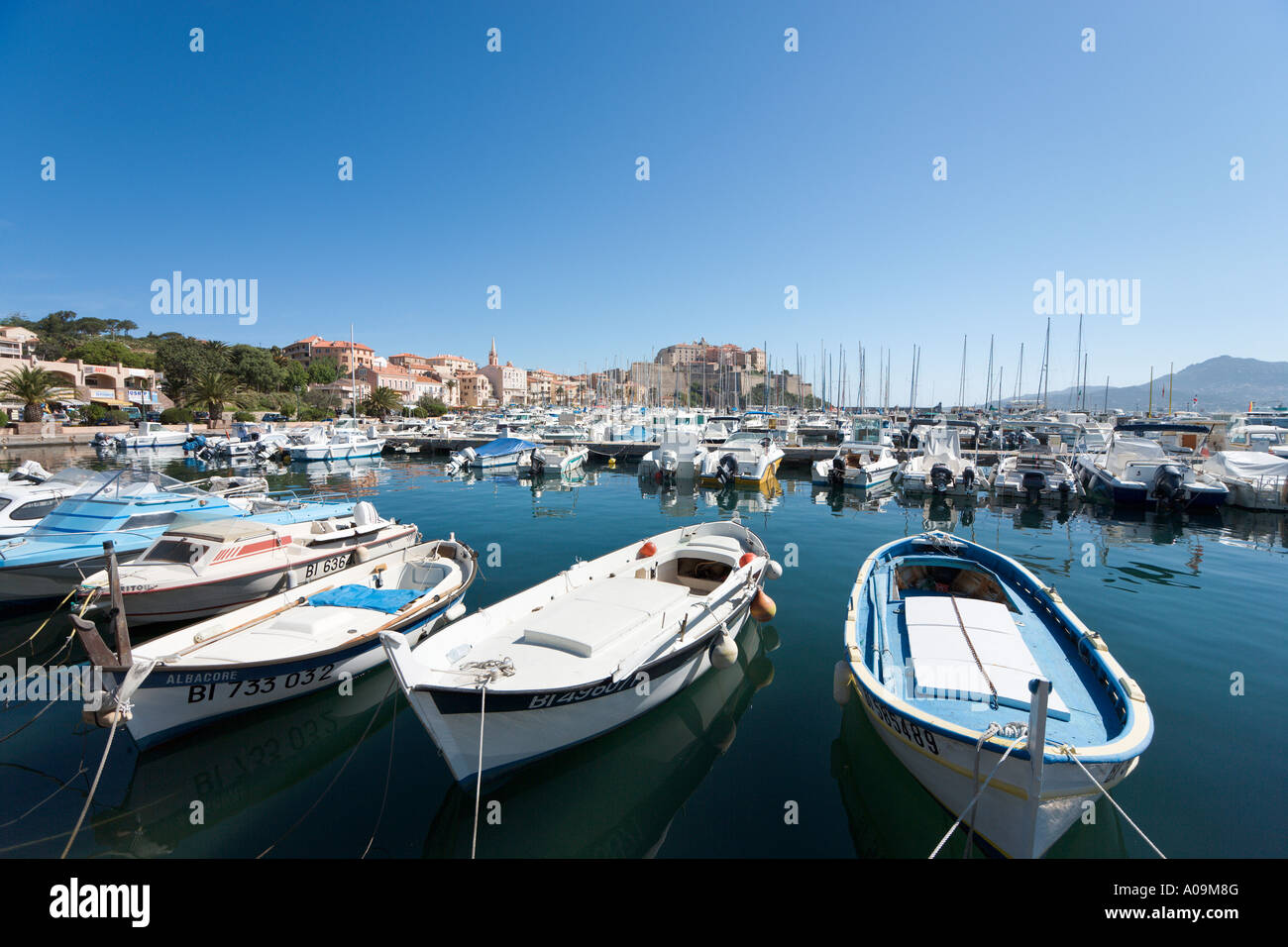 Porto guardando verso la Citadelle Calvi, La Balagne, Corsica, Francia Foto Stock