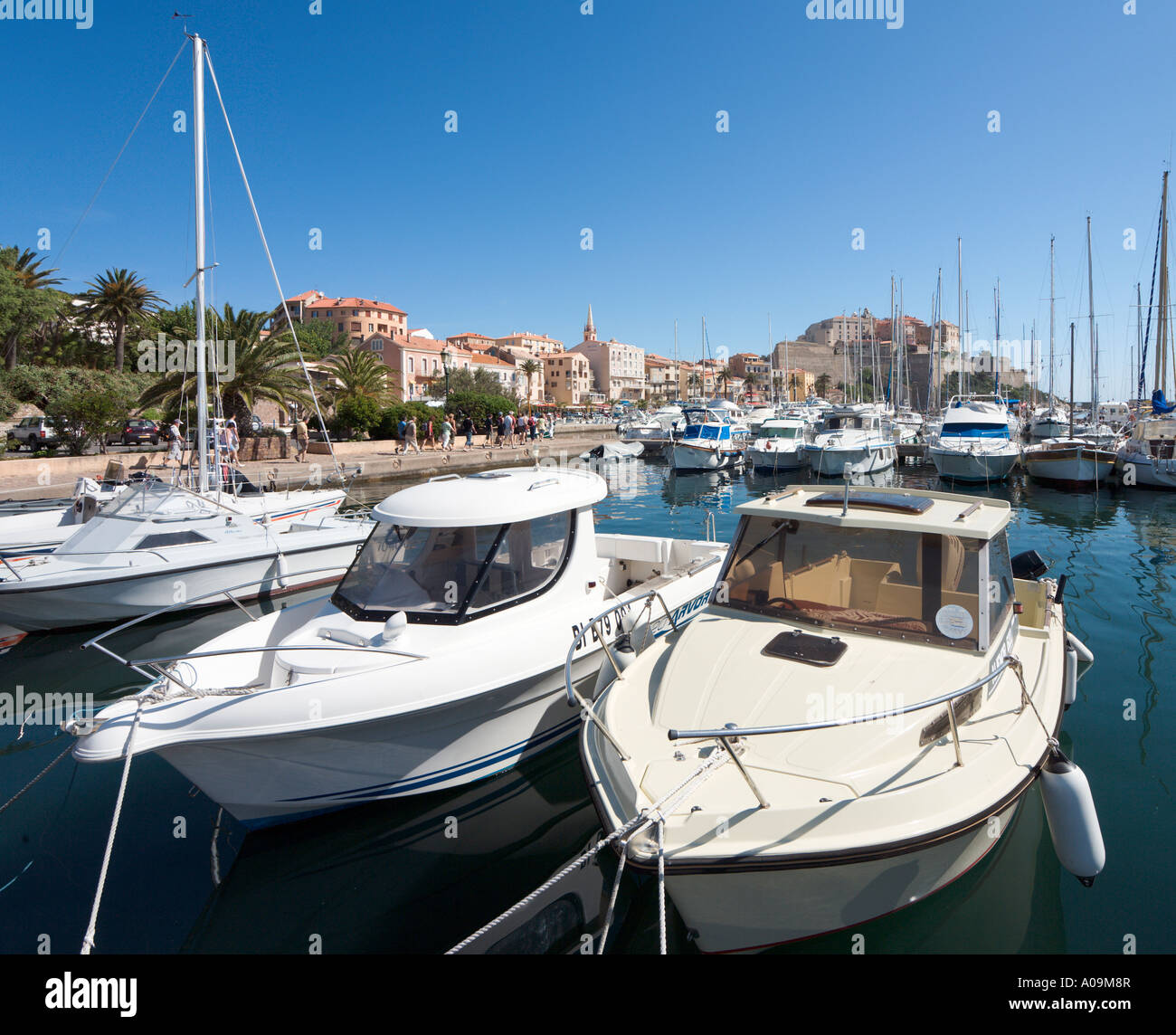 Porto guardando verso la Citadelle Calvi, La Balagne, Corsica, Francia Foto Stock