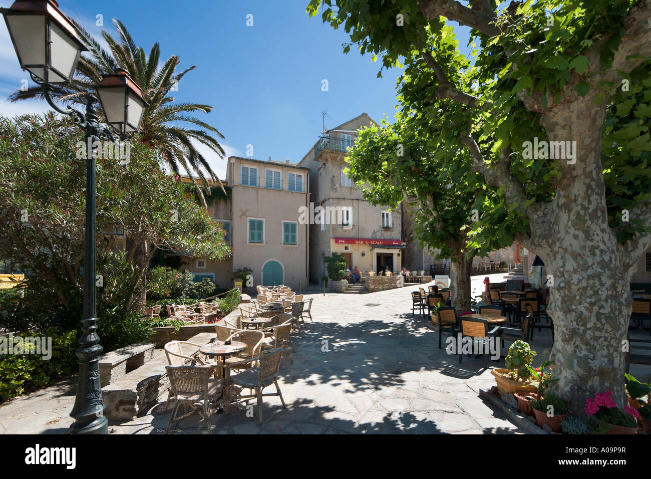Caffè della piazza principale, Erbalunga, Cap Corse, Corsica, Francia Foto Stock