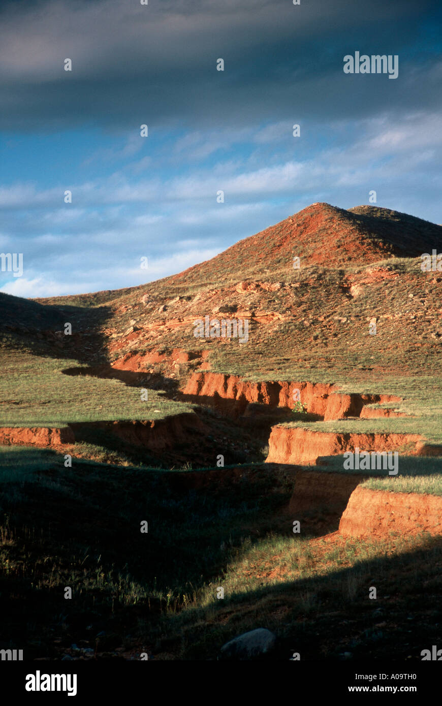 Erosione di burrone le Black Hills del Dakota del Sud Foto Stock Erosione di burrone le Black Hills del Dakota del Sud Foto Stock