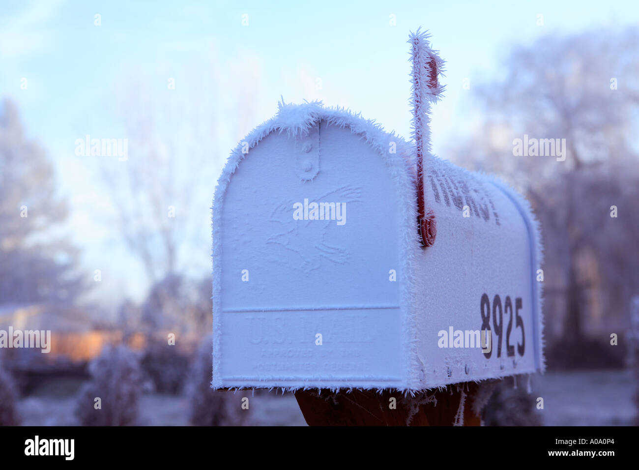 Coperto di brina mailbox su un freddo inverno mattina Foto Stock