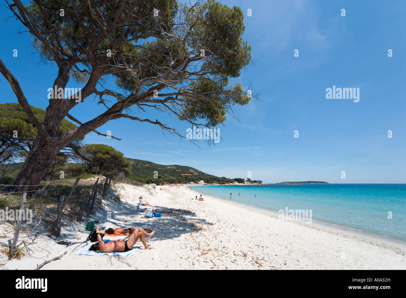 La spiaggia di Palombaggia, vicino a Porto Vecchio, Corse du Sud, Corsica,  Francia Foto stock - Alamy