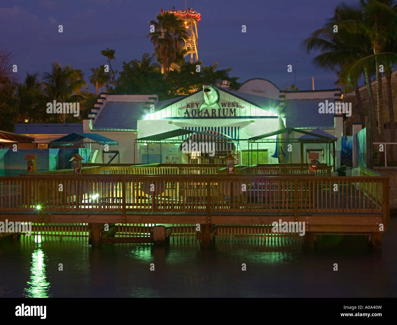 Key West Aquarium Foto Stock