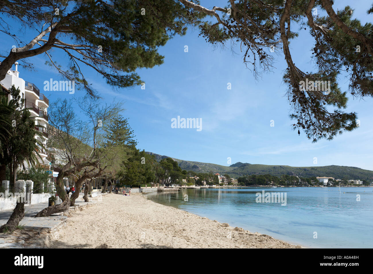 Spiaggia Vicino al centro del resort, Puerto Pollensa, costa Nord, Maiorca, isole Baleari, Spagna Foto Stock