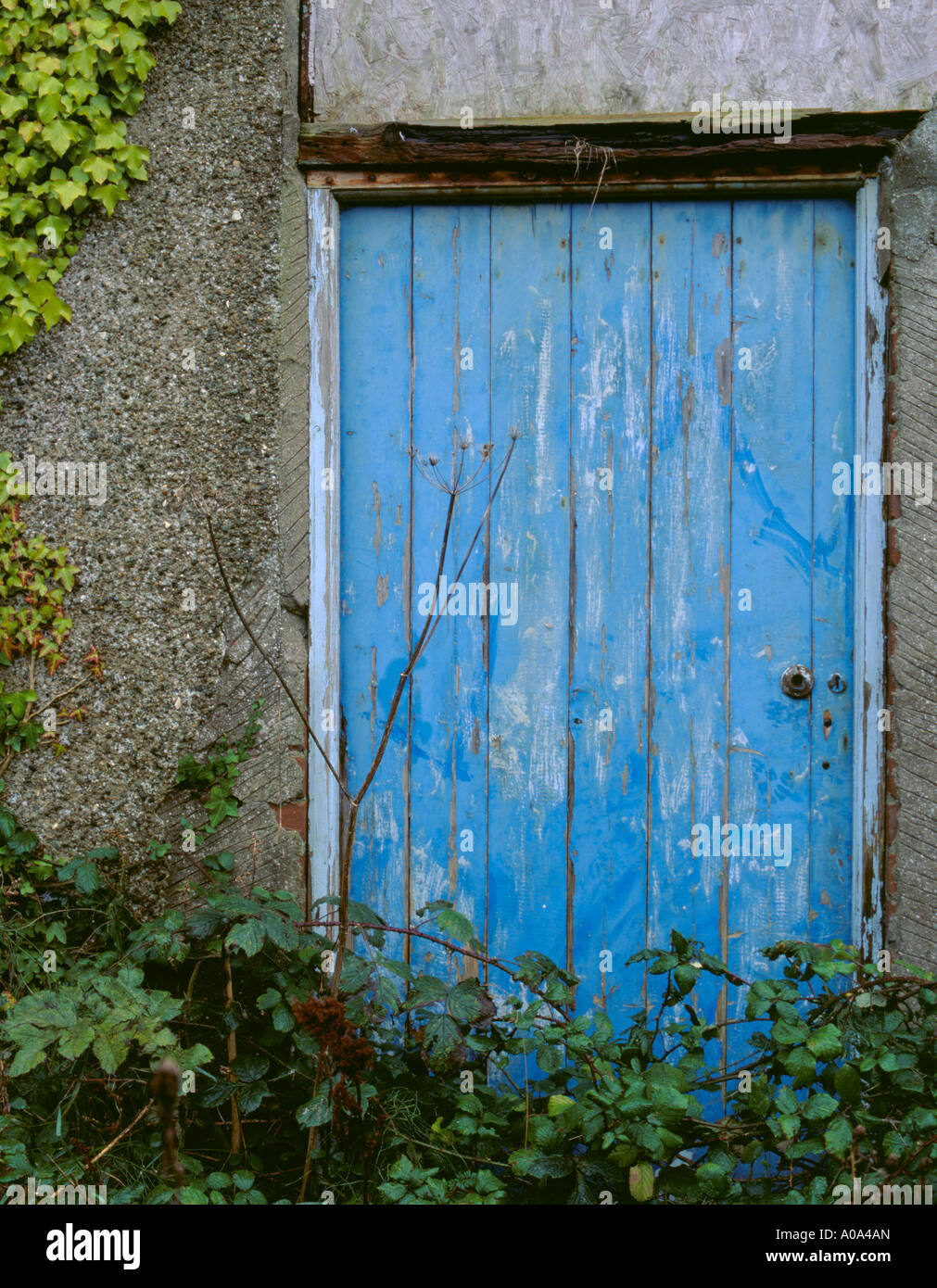 Porta Vecchia in un edificio abbandonato, Anglesey, Galles del Nord, Regno Unito. Foto Stock