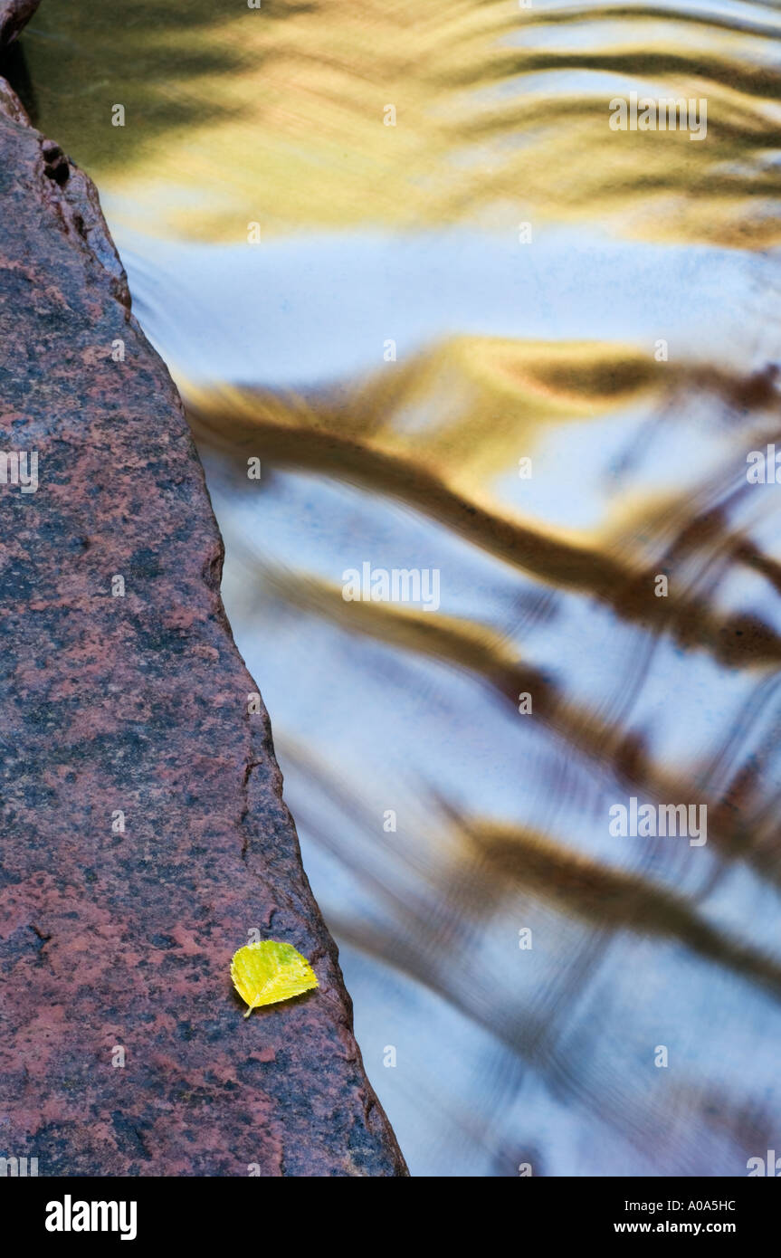 Colore di autunno riflette in Oak Creek, Sedona, in Arizona Foto Stock