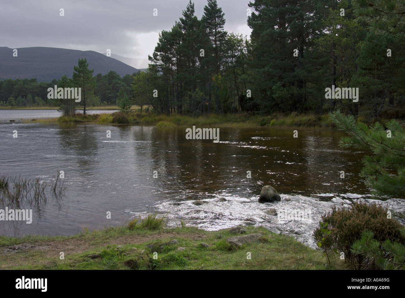 Luce di tempesta sul Loch Morlich Rothiemurchus Aviemore Cairngorm National Park Highlands scozzesi Foto Stock