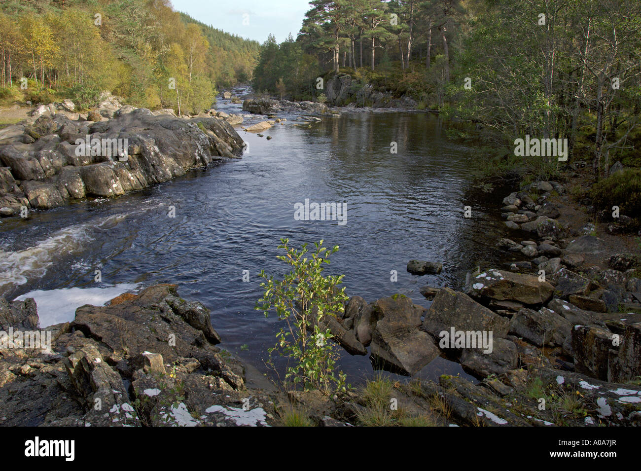 Dog Falls River Glen Affric Affric autunno tinte vicino a Inverness Highlands scozzesi Foto Stock