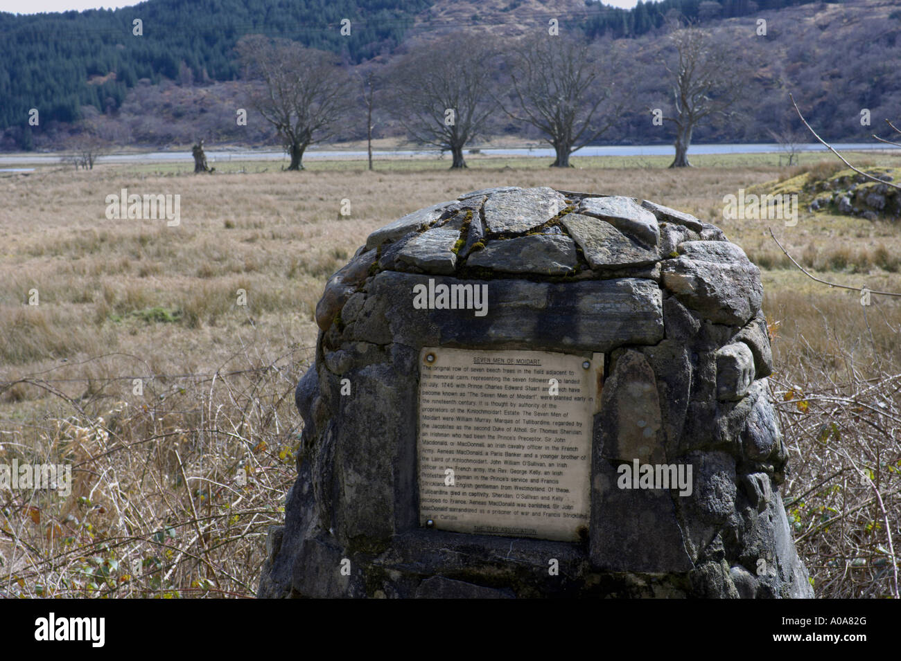 Sette uomini del Moidart alberi monumento vicino Knilochmoidart penisola Moidart Highlands scozzesi Foto Stock