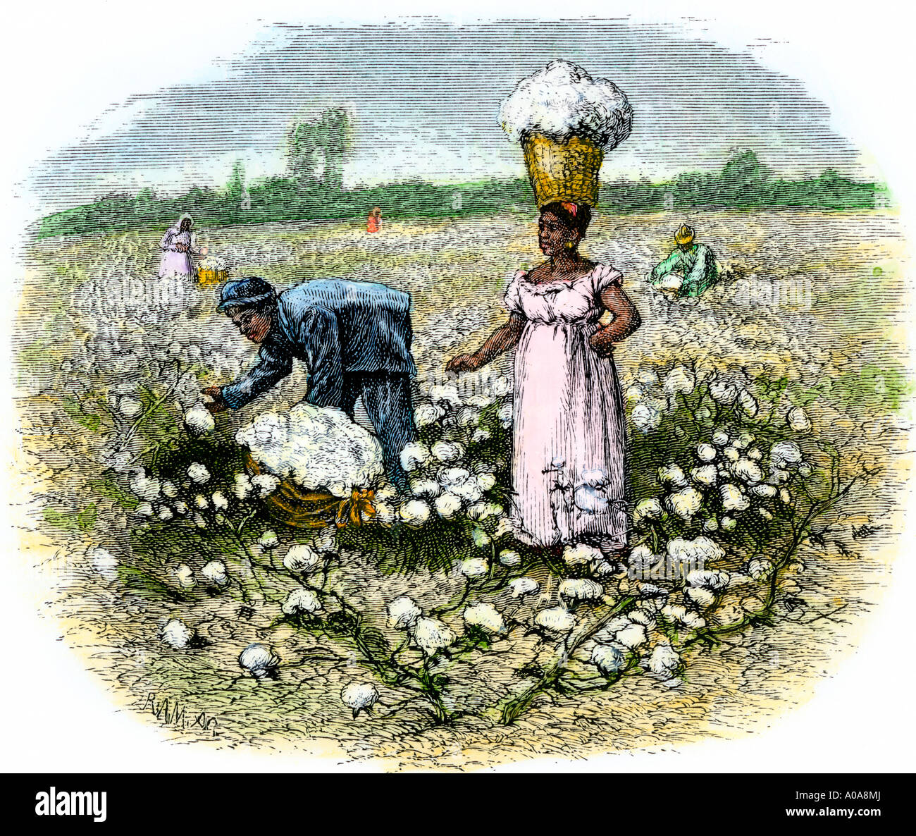 African American schiavi raccolta di cotone su una piantagione nel profondo sud 1800s. Colorate a mano la xilografia Foto Stock