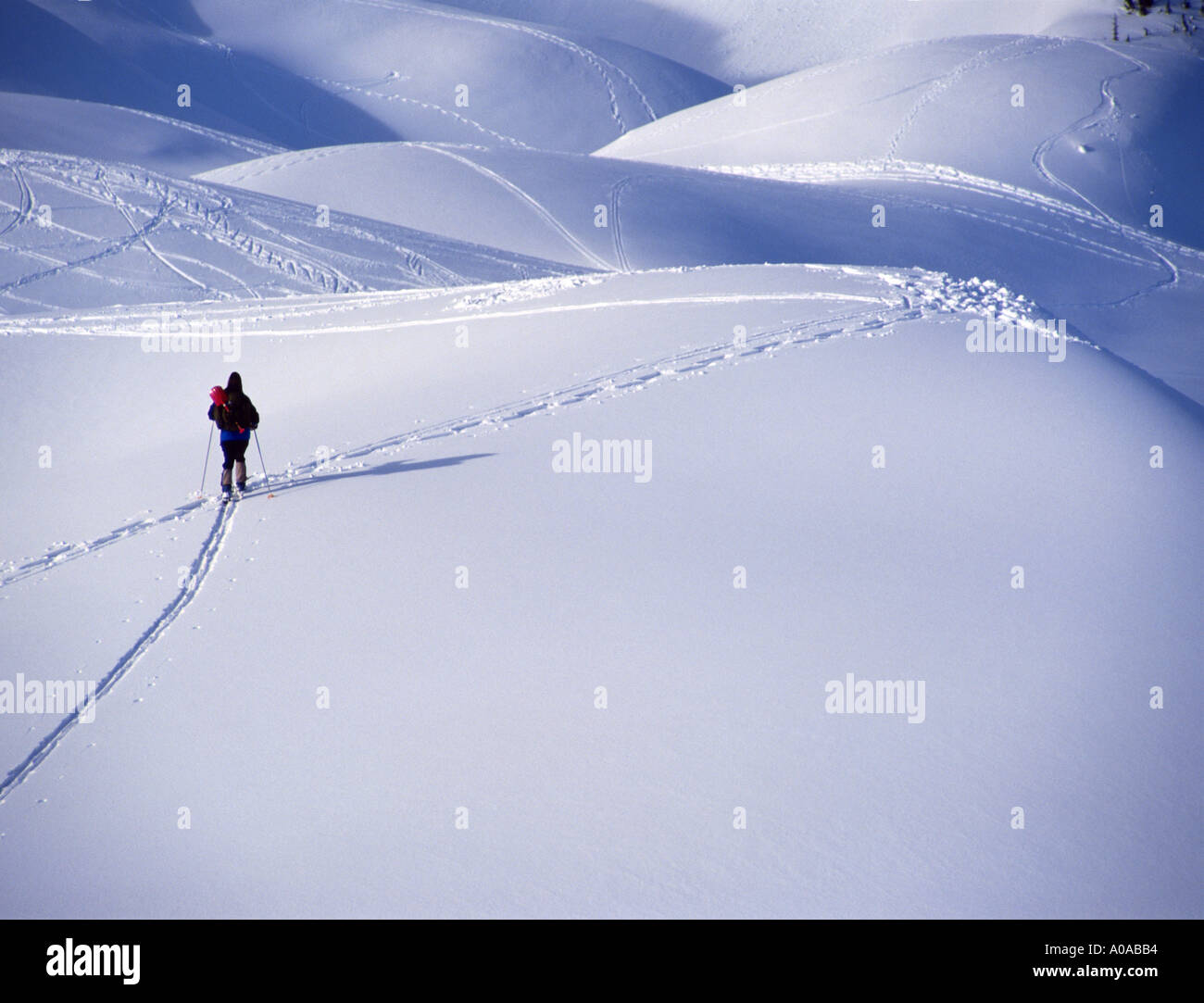 Sci di fondo Backcountry Mt Baker Wilderness Area stato di Washington Foto Stock