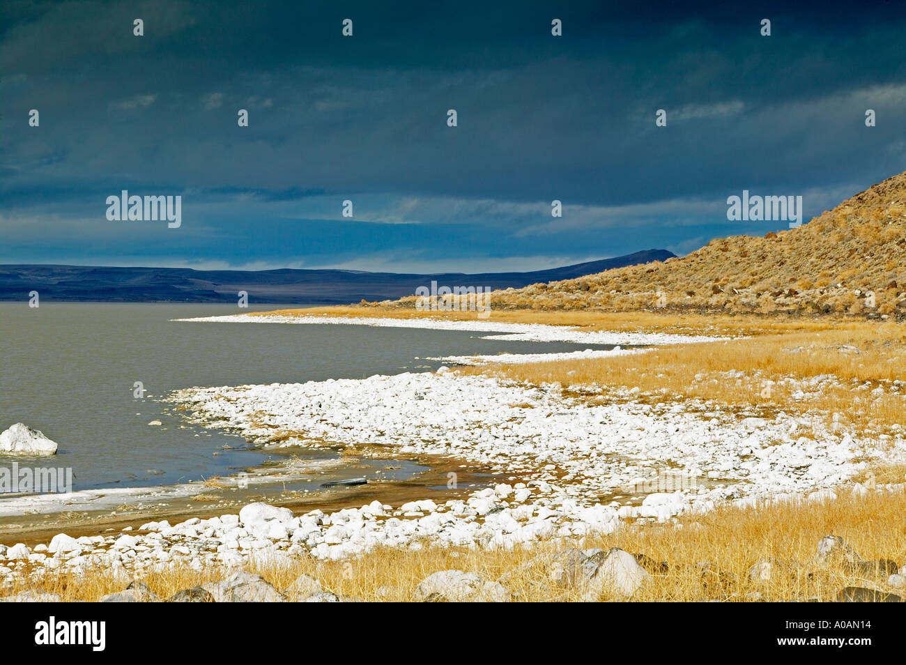 Il lago di Abert battigia e storm Oregon Foto Stock