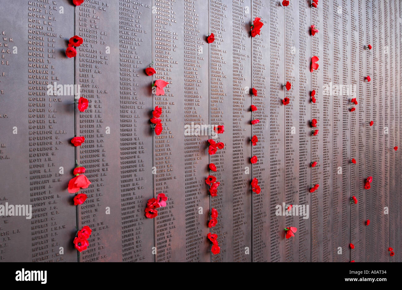 I papaveri si allineano al rullo dell'onore della Guerra, Australian War Memorial, Canberra, Australia Foto Stock
