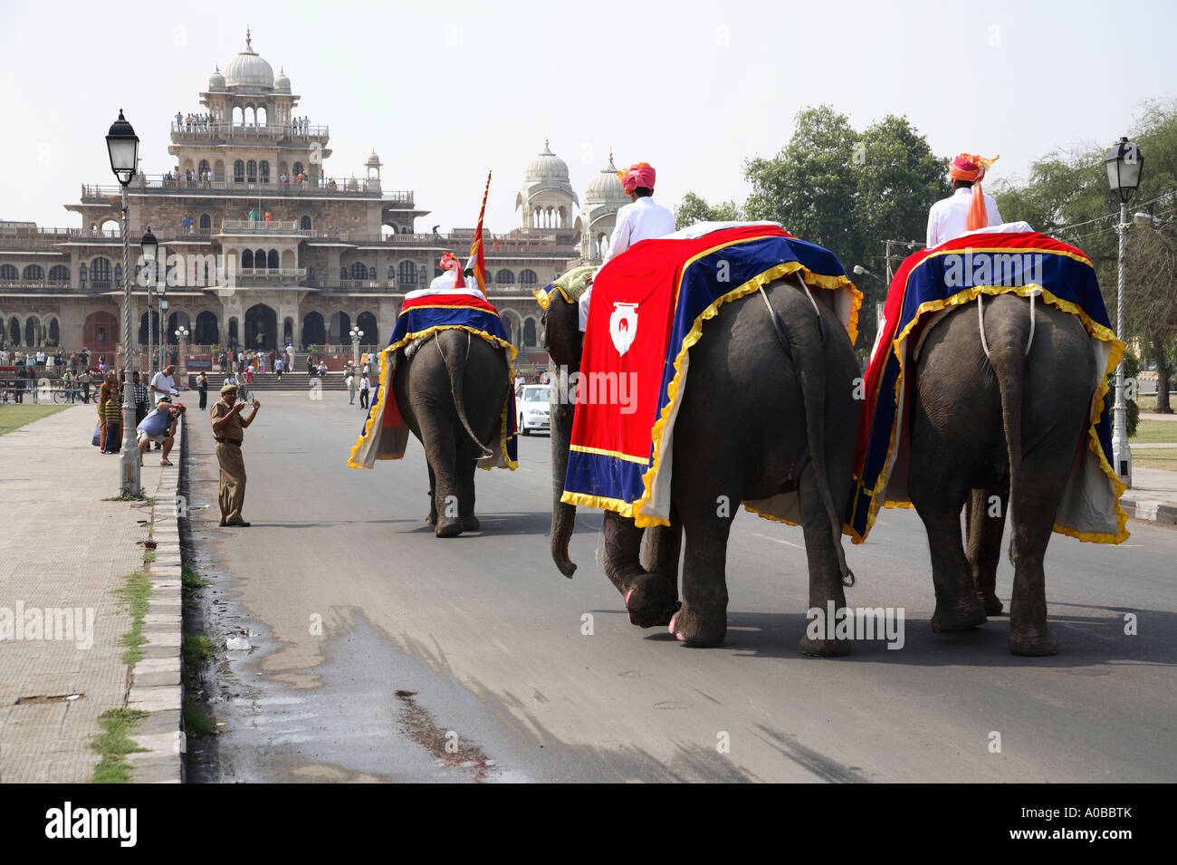 Una sfilata di elefanti cavalcato da loro mahouts davanti alla Albert Hall Museum durante il festival di elefante a Jaipur, Rajasthan, India Foto Stock