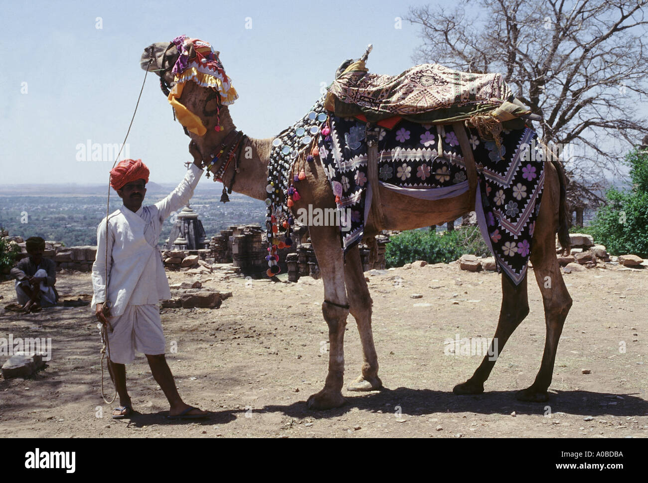 Un tipico uomo di Rajasthani con il suo cammello. Il Rajasthanis non solo ornarsi ma anche i loro animali con gioielli. Foto Stock