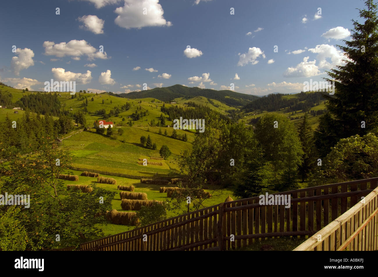 Europa Moldavia Romania Bucovina panorama visto da Ciumarna Pass Foto Stock
