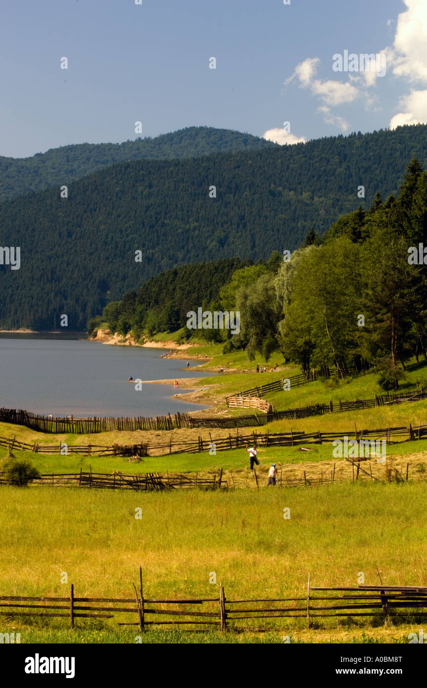 Europa Moldavia Romania Bucovina farming dal lago di Bicaz Foto Stock