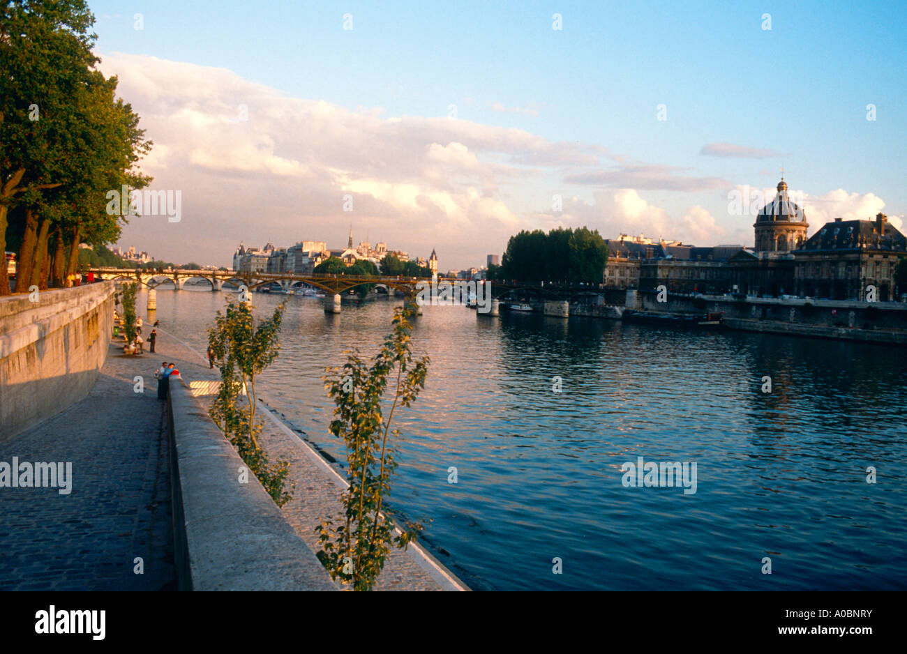 Seine Pont des Arts Institut Francia Hotel des Monnaies Ile de la Cite Paris Frankreich Foto Stock