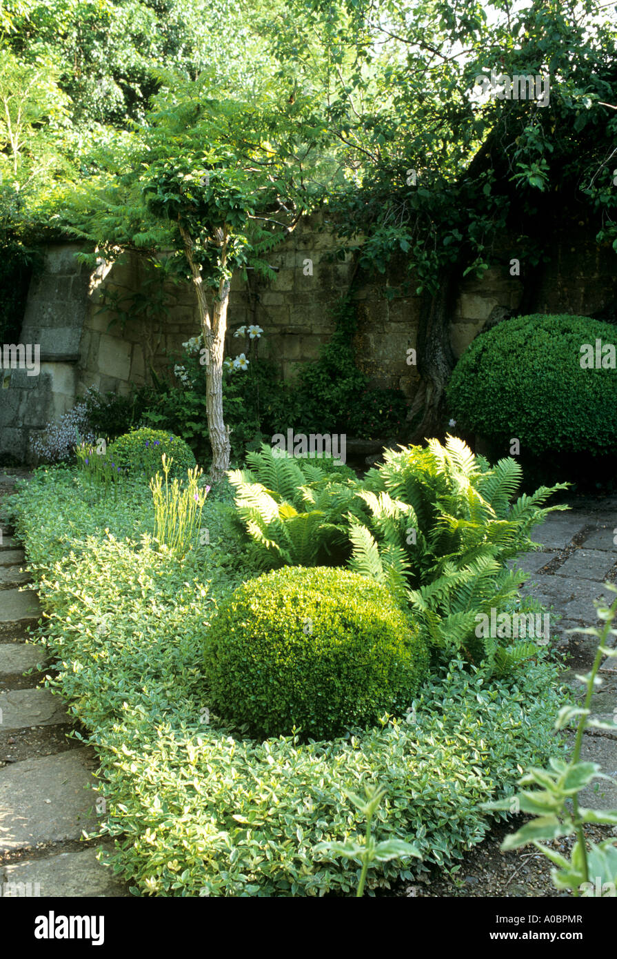 Wiltshire paese giardino con siepi di bosso e piante perenni estive Foto Stock