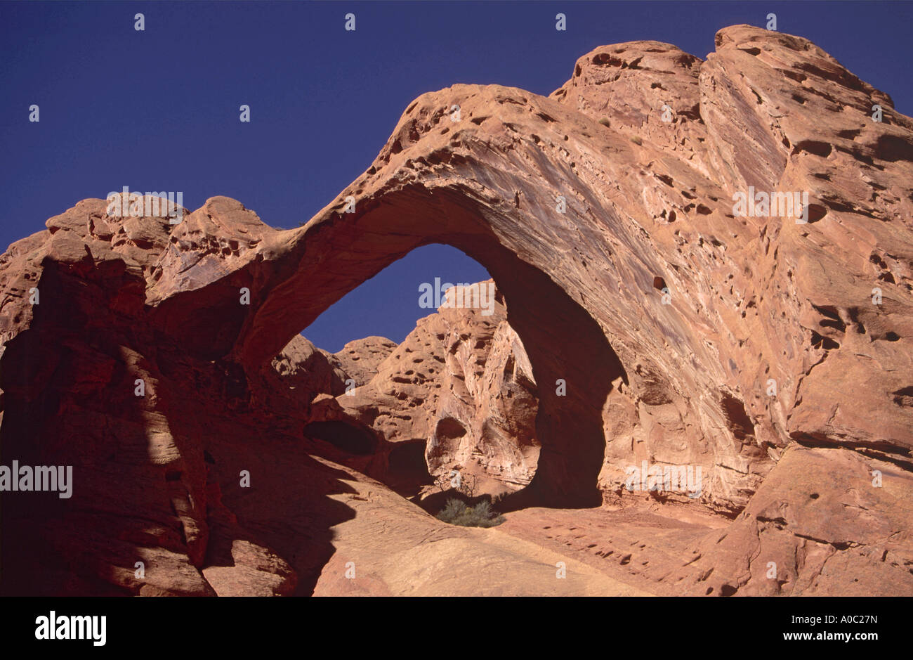 Arco di sella a Muley superiore Twist Canyon in Waterpocket Fold, Capitol Reef Parco Nat, Utah, Stati Uniti d'America Foto Stock