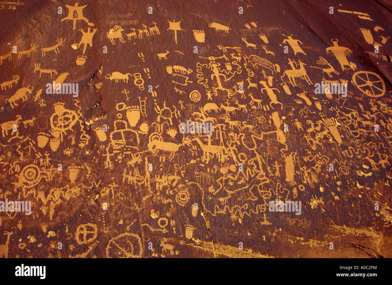 Newspaper Rock petroglifi Ute stile Anasazi, porta le orecchie monumento nazionale, Utah, Stati Uniti d'America Foto Stock