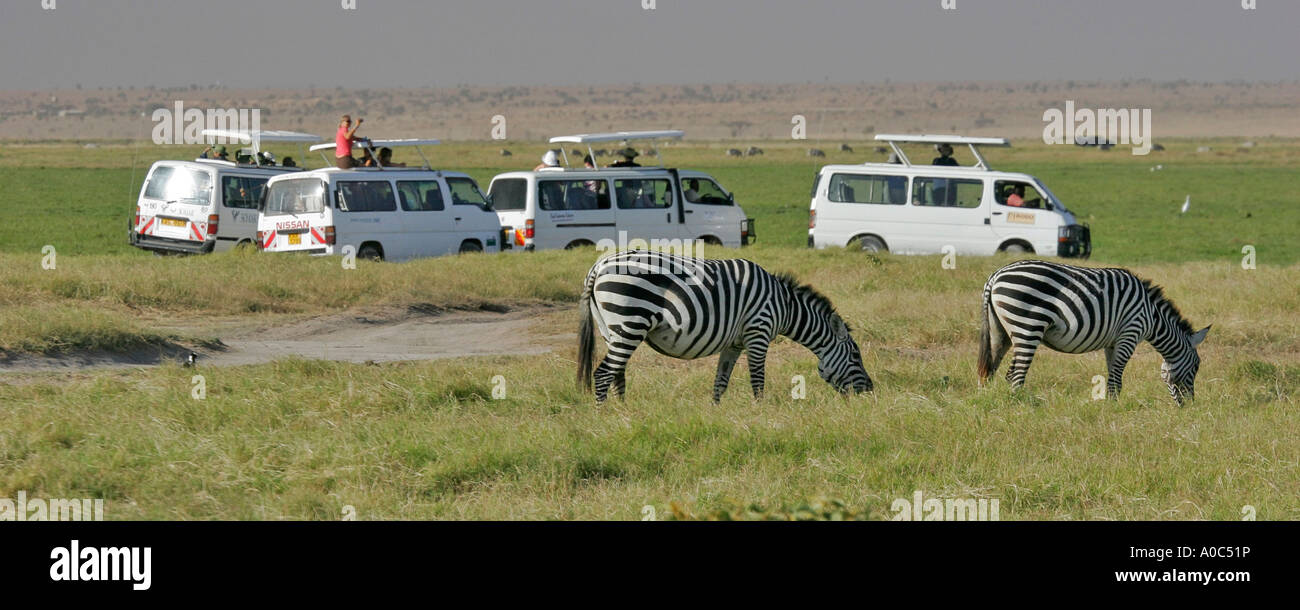 Gioco guardando da furgoni di Amboseli National Park Foto Stock