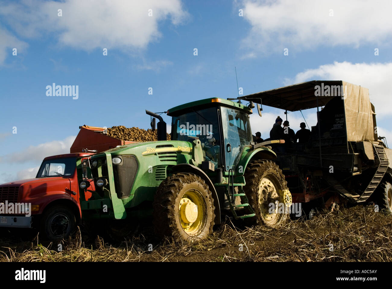 Immagine di stock di una meccanica trebbiatrice di patata e il carrello utilizzato per trasportare le patate in New Brunswick canada Foto Stock