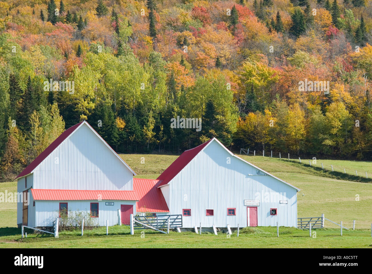 Immagine di stock di un fienile bianco verde pascolo e caduta delle foglie nel nord di New Brunswick Canada Foto Stock