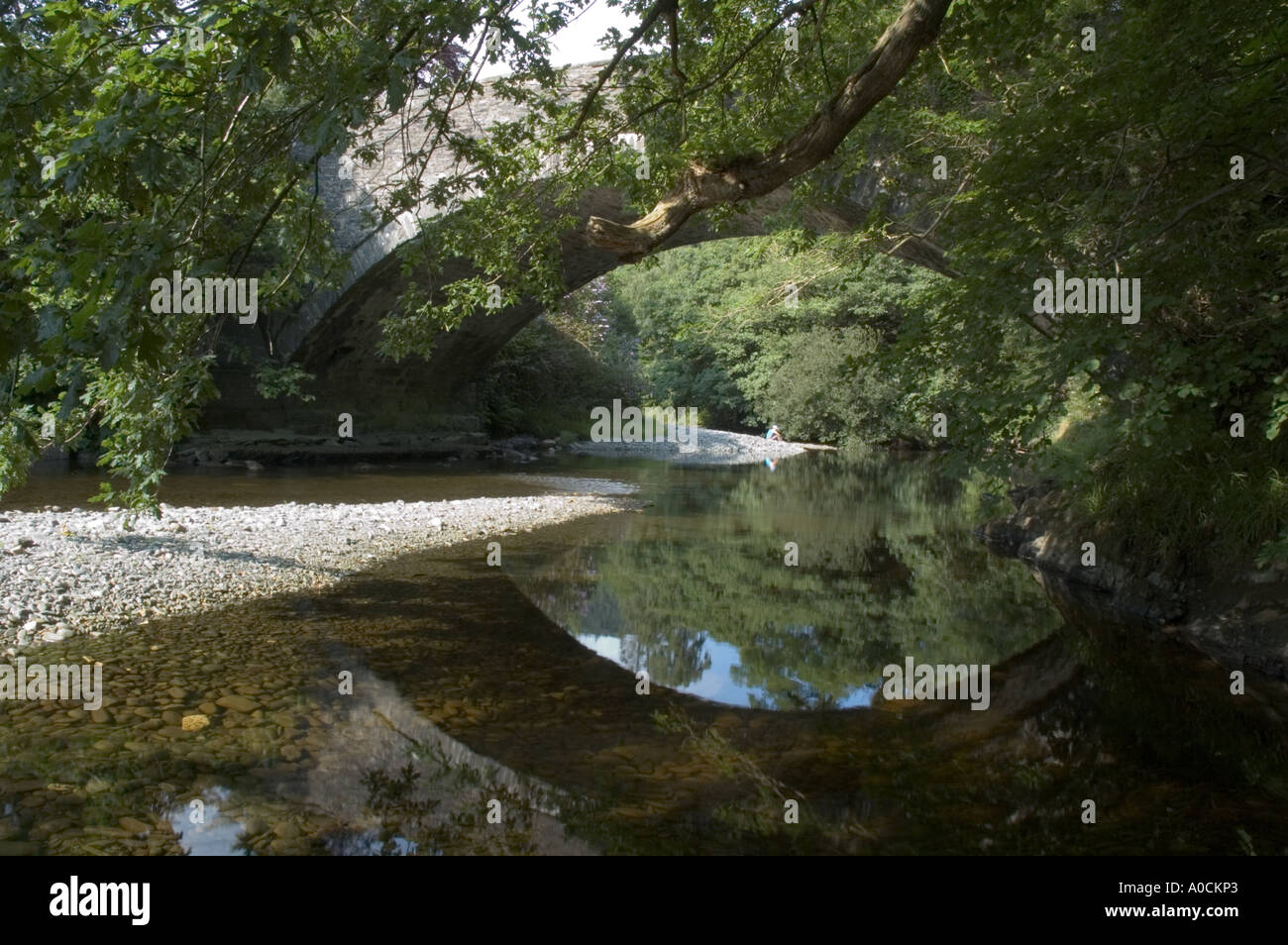 Riflessioni del ponte nel fiume con alberi a sbalzo Foto Stock