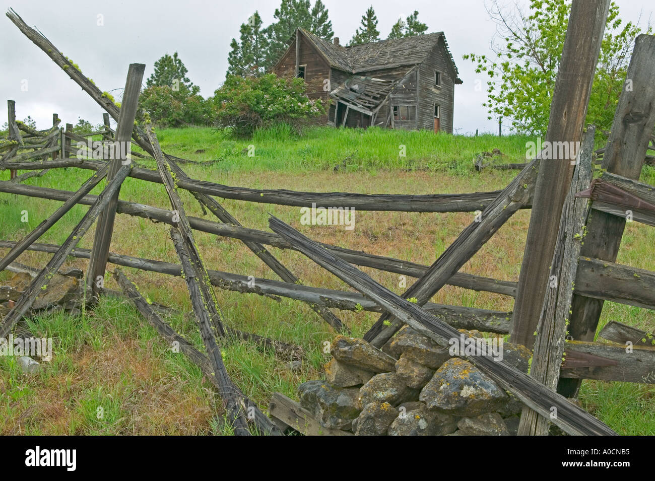Vecchia casa abbandonata con recinto abbandonati nei pressi di Flora Oregon Foto Stock