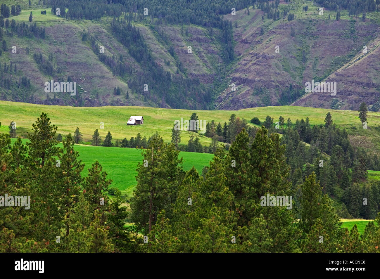 Agriturismo a valle vicino a Troy Oregon Foto Stock