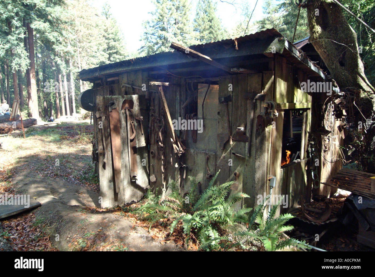 Fabbri shack in un vecchio mulino di sega in Occidental California utilizzato per effettuare e mantenere strumenti di registrazione Foto Stock