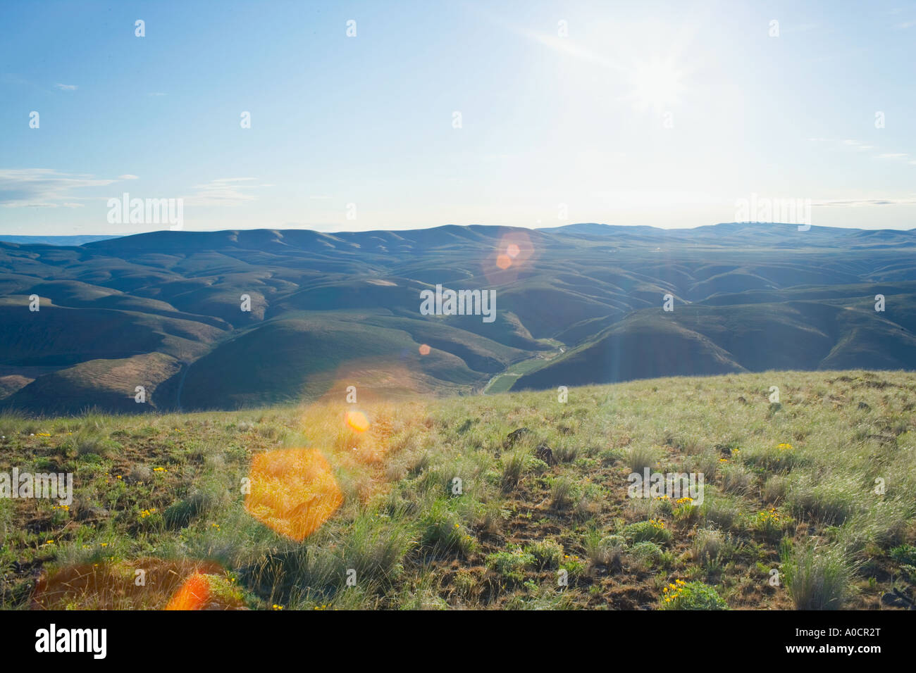 Alba da Umptanum cresta che domina alte colline del deserto di Yakima River Canyon tra Yakima e Ellensburg Eastern Washington Foto Stock