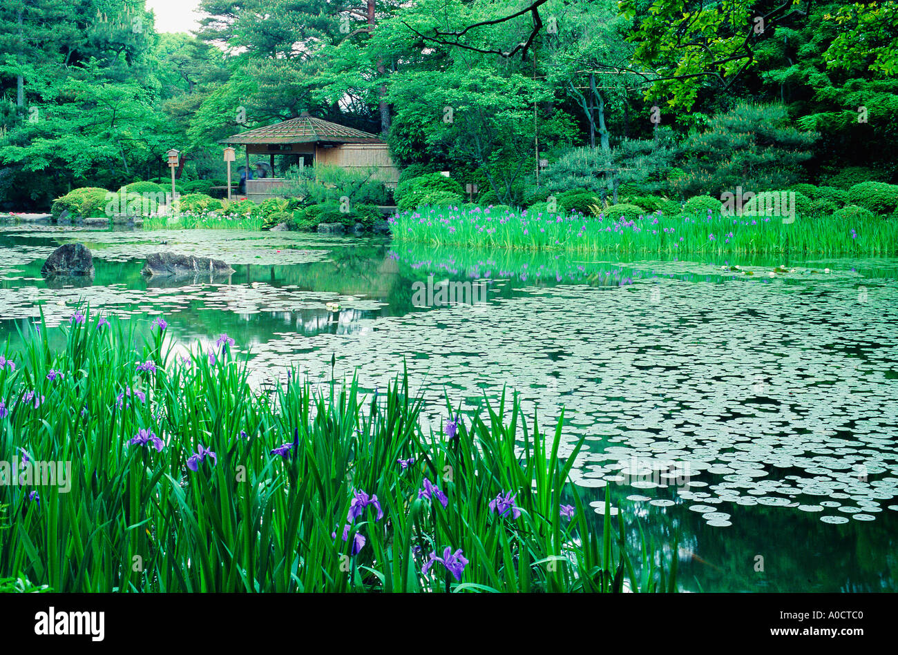 Il giardino tradizionale presso il Santuario Heian Giappone Kyoto Foto Stock
