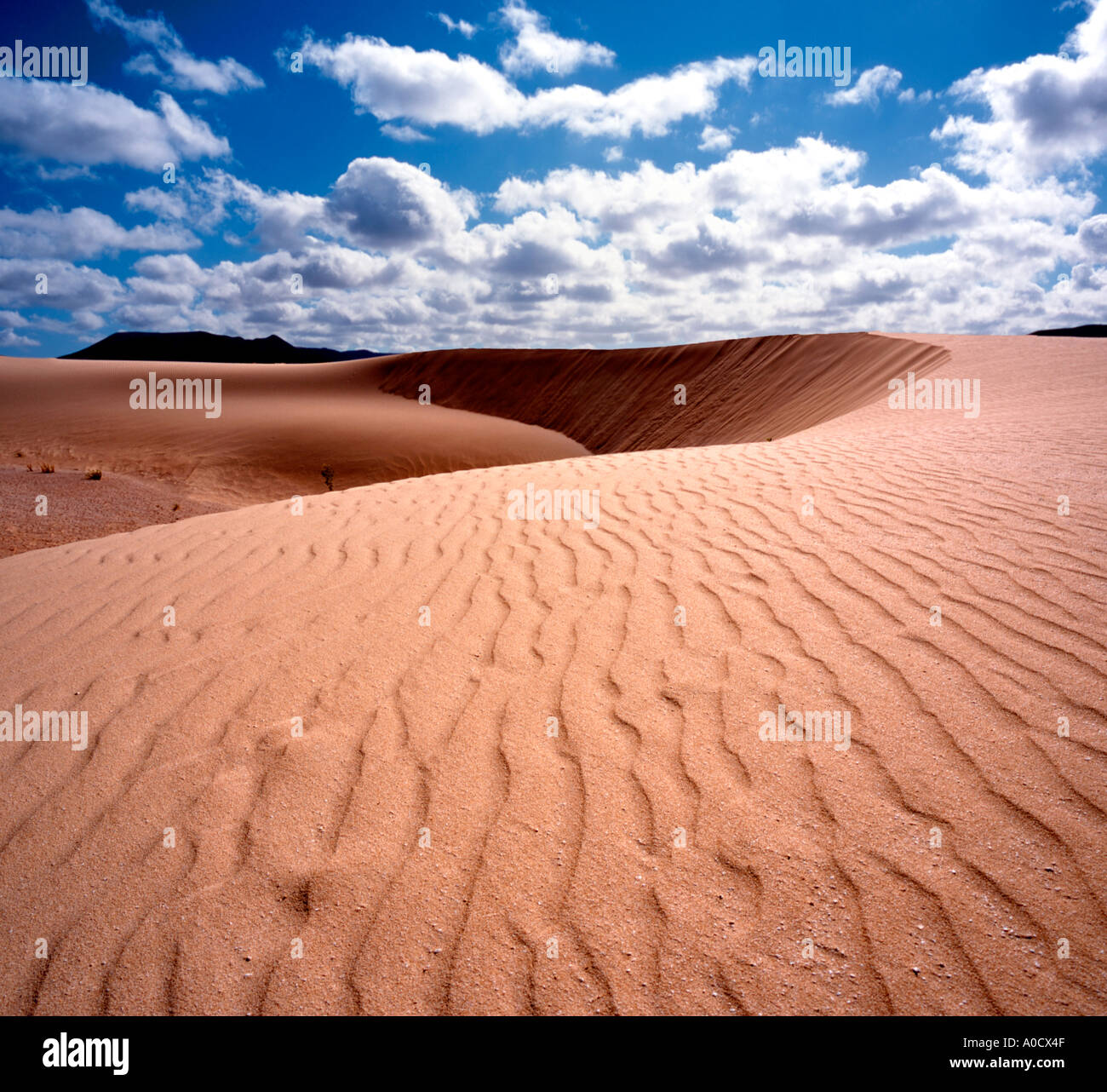 Dune di Corralejo. Fuerteventura Isole Canarie Spagna. Foto Stock