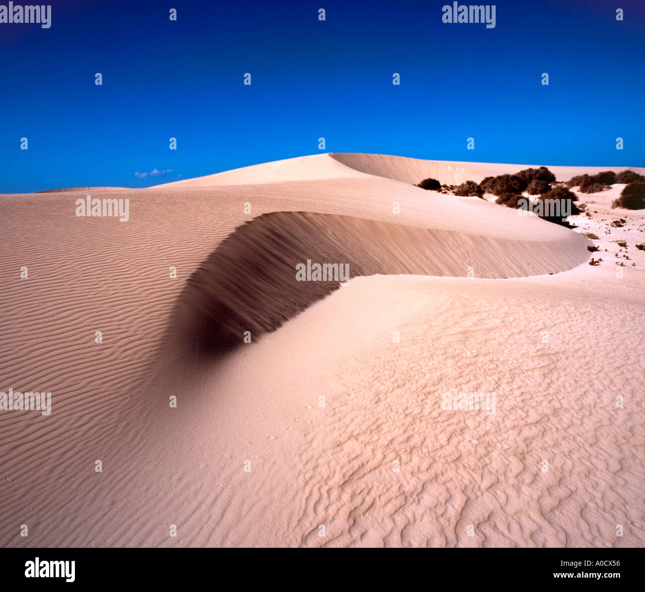 Le dune di sabbia in Corralejo Fuerteventura Isole Canarie Spagna Foto Stock