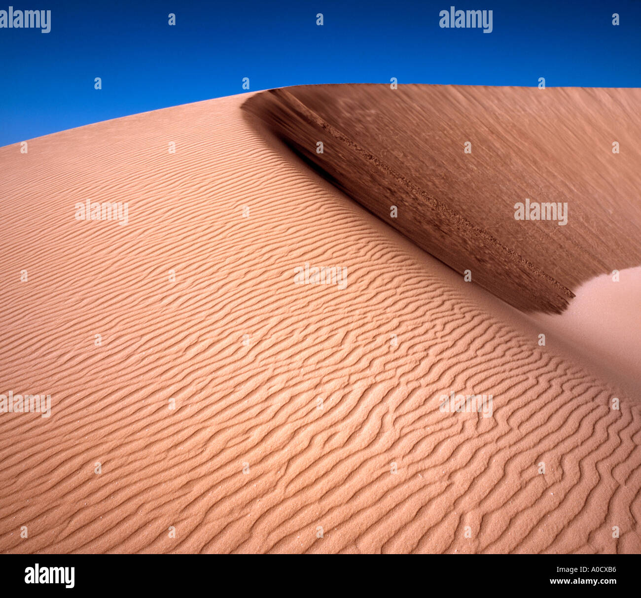 Le dune di sabbia in Corralejo Fuerteventura Isole Canarie Spagna Foto Stock