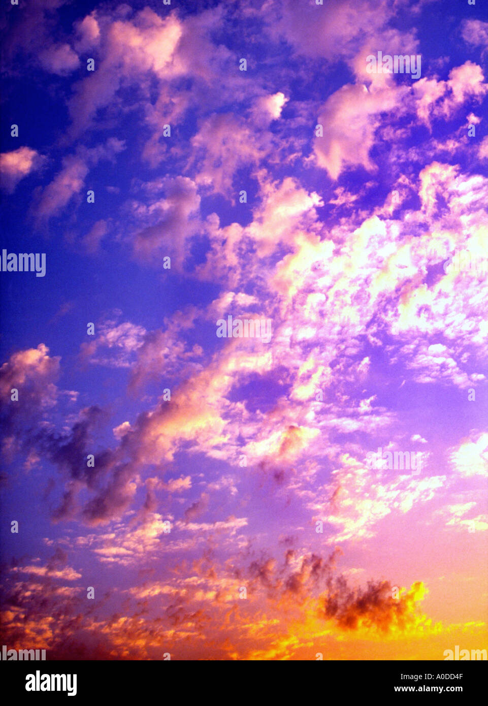 cielo di tramonto Foto Stock