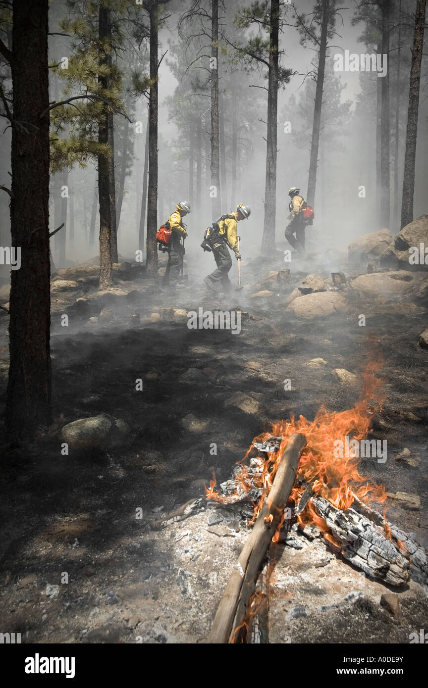 I Vigili del fuoco di lavoro prescritto nella masterizzazione di Flagstaff Coconino County Arizona USA Foto Stock