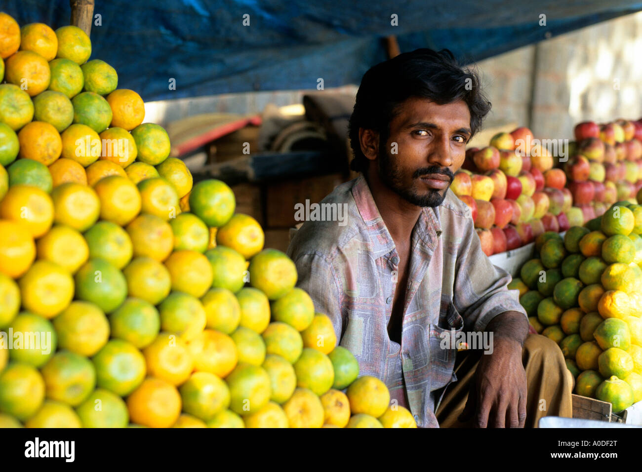Un venditore ambulante per la vendita di frutta in India Foto Stock