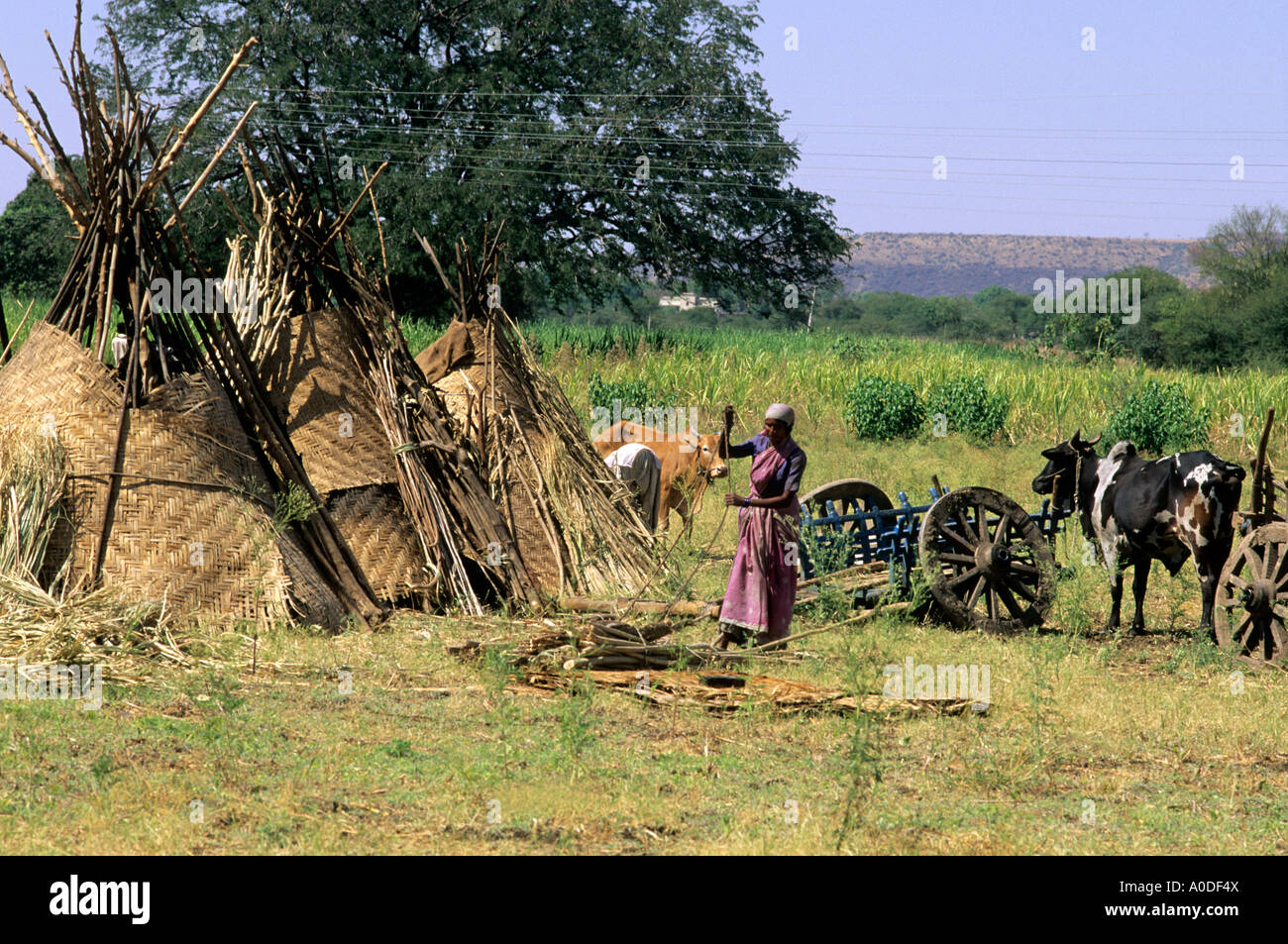 Gli abitanti di un villaggio nomade in India Centrale Foto Stock