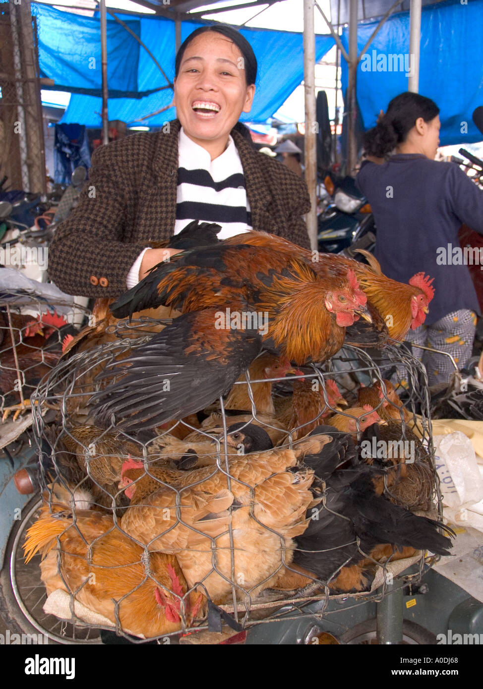 Il Vietnam centrale di Hue Dong Ba Market donna felice Vendita di polli Foto Stock