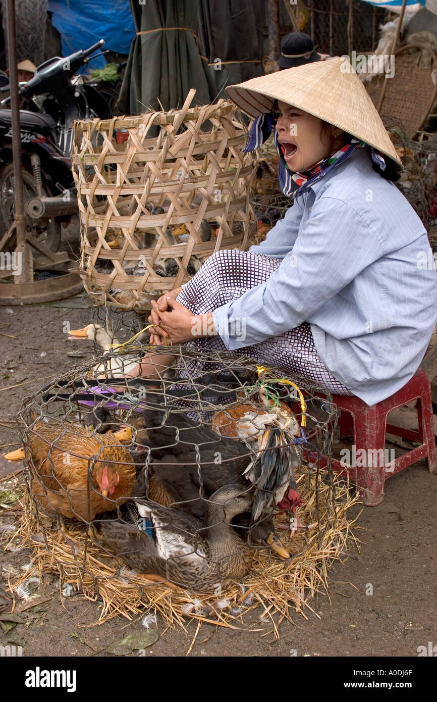 Il Vietnam centrale di Hue Dong Ba Market sbadigli donna Vendita di polli Foto Stock
