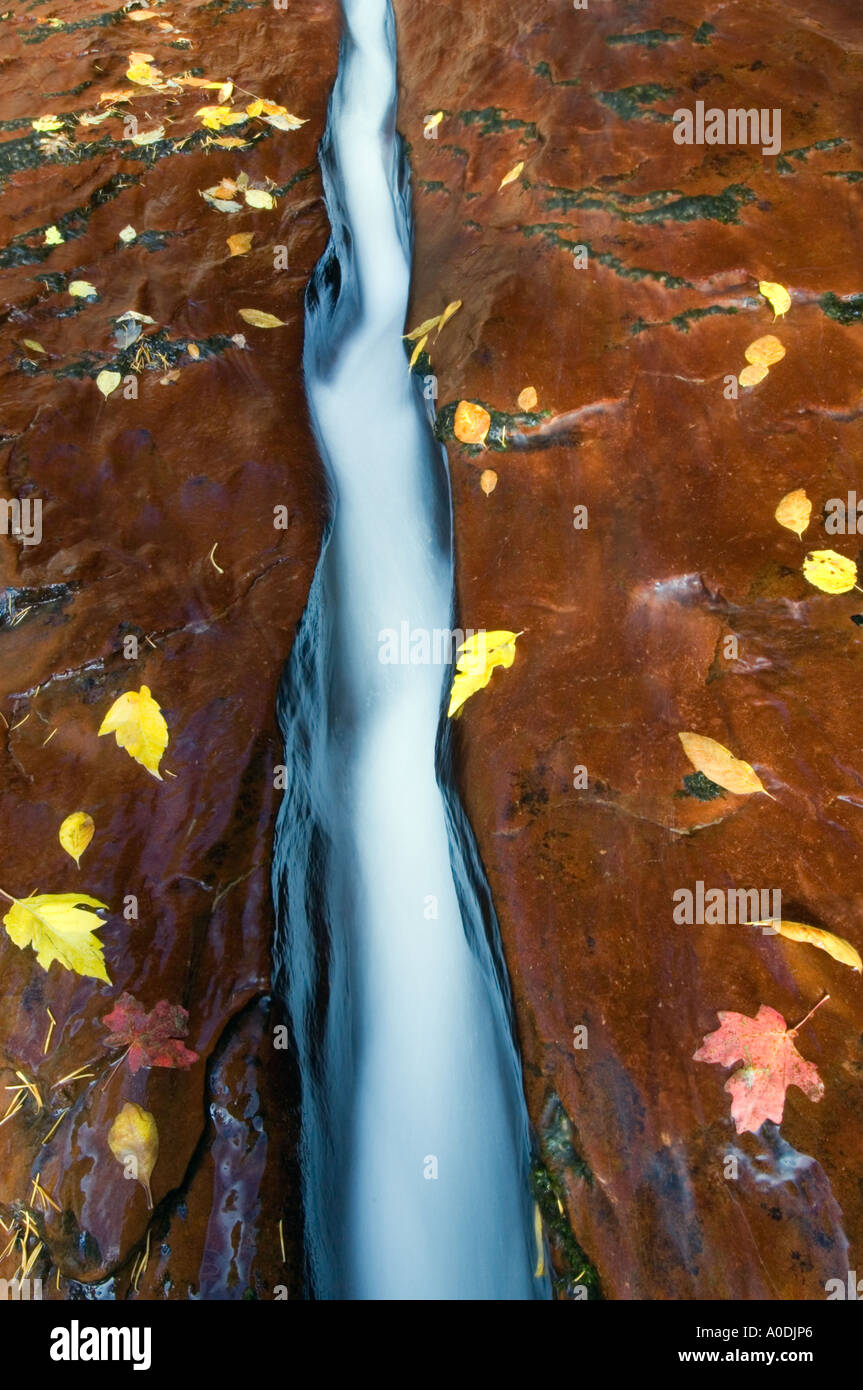 L'acqua che scorre attraverso arenaria Crack, Sion, N.P., Utah Foto Stock