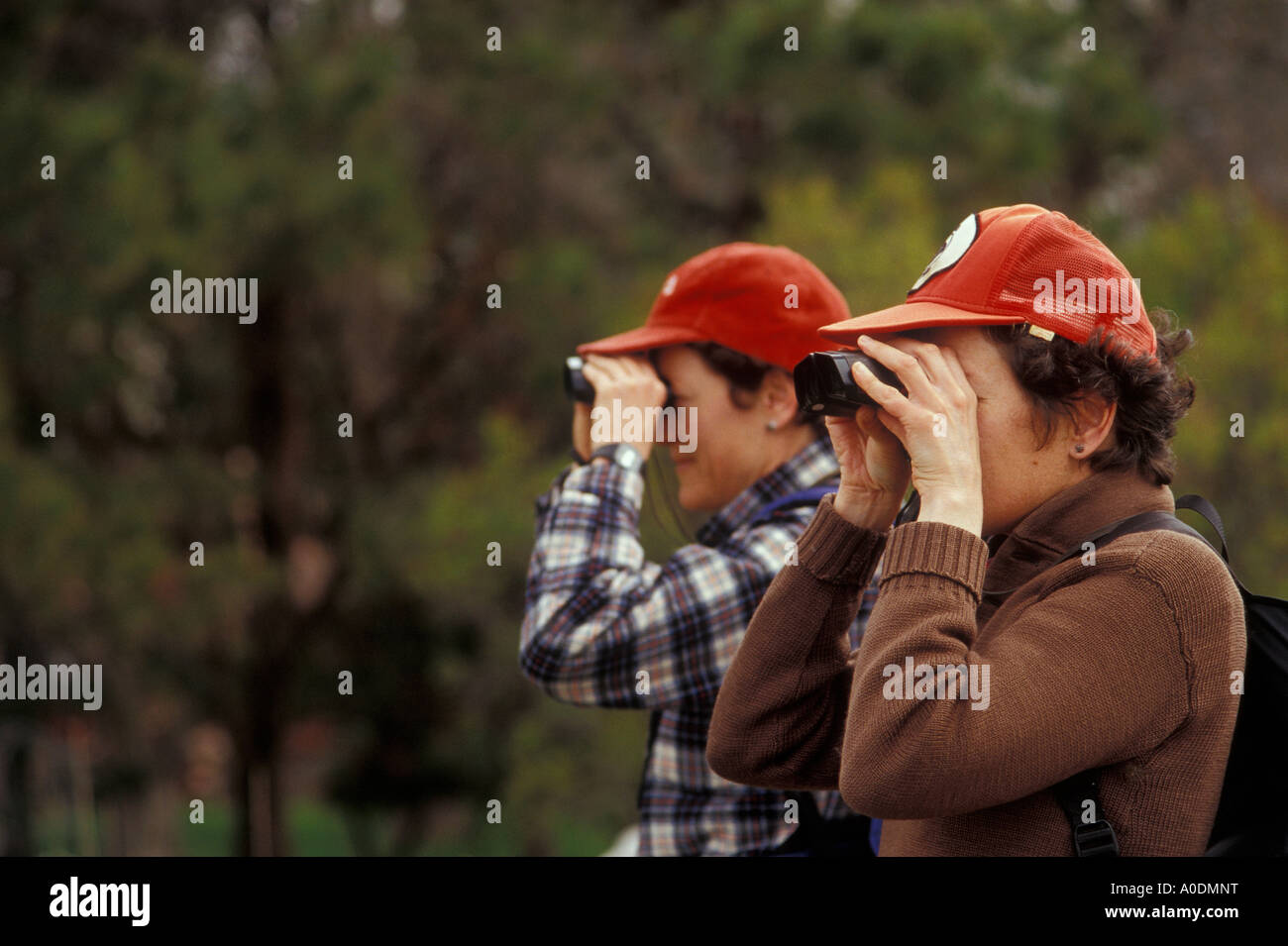 Due donne con un binocolo guardando gli uccelli a Malheur National Wildlife Refuge Oregon Foto Stock