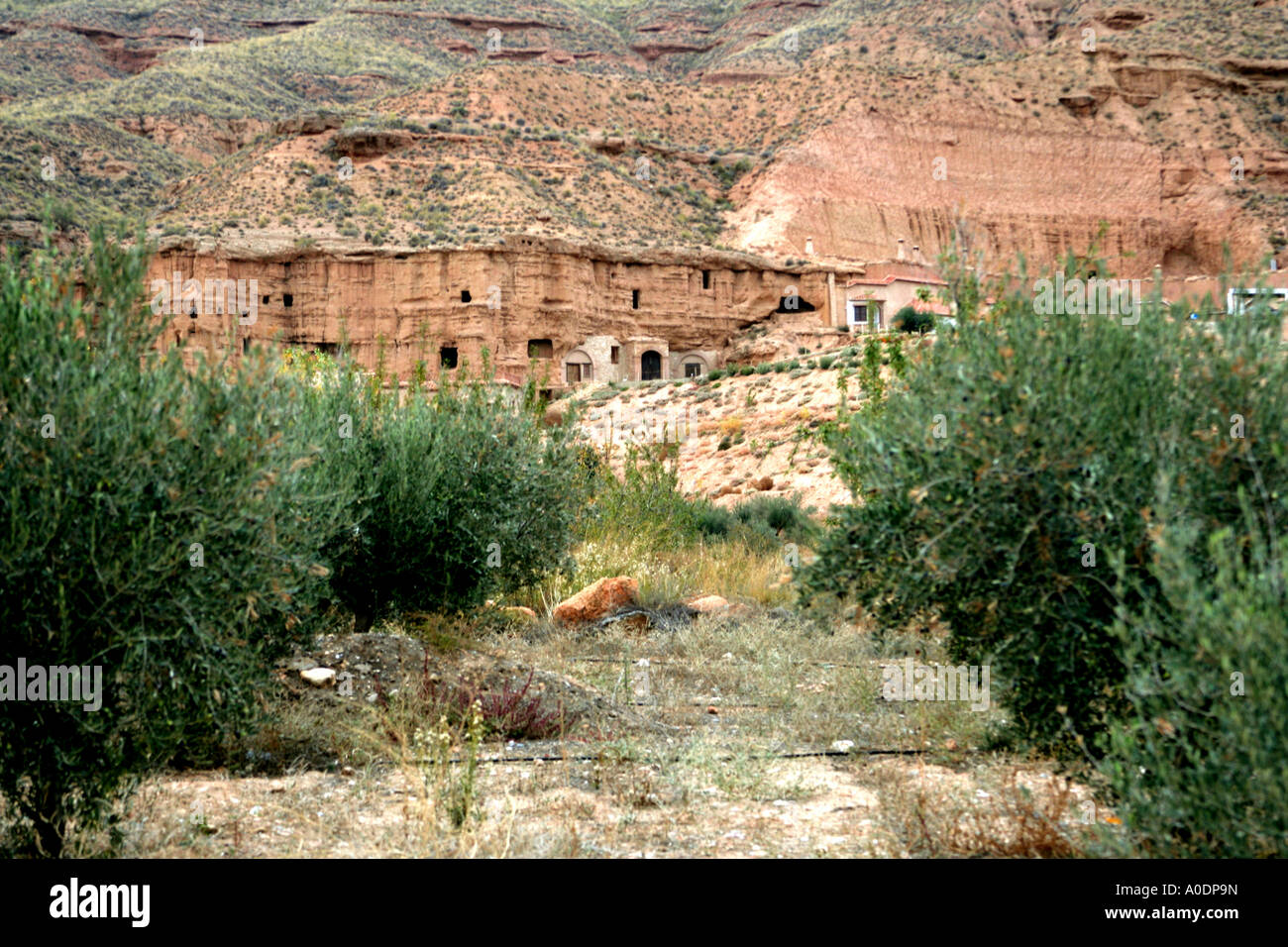 Case di loess Parco naturale Sierra de Huetor vicino a Granada Andalusia Spagna del Sud Europa Foto Stock